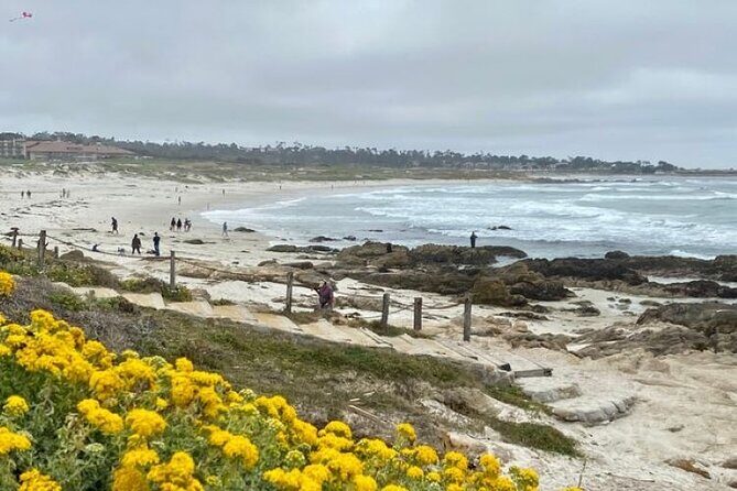 Monterey Bay Famous Dog Friendly Electric Bike and Sidecar Tour - What to Expect at Each Stop