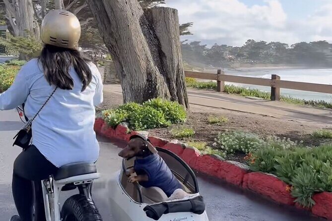 Monterey Bay Famous Dog Friendly Electric Bike and Sidecar Tour - Authentic Traveler Feedback