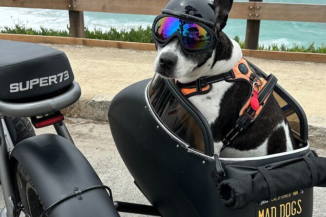 Monterey Bay Famous Dog Friendly Electric Bike and Sidecar Tour - The Sum Up