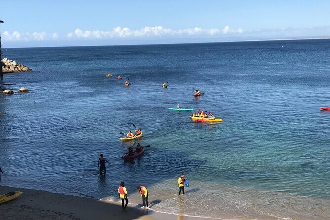 Monterey Bay Full-Day Kayak Rental: Otters, Seals and Sea Lions - A Closer Look at the Monterey Bay Kayak Rental Experience