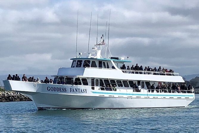 Monterey Bay Whale Watching - An In-Depth Review of the Monterey Bay Whale Watching Experience