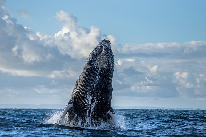 Monterey Bay Whale Watching - Final Notes