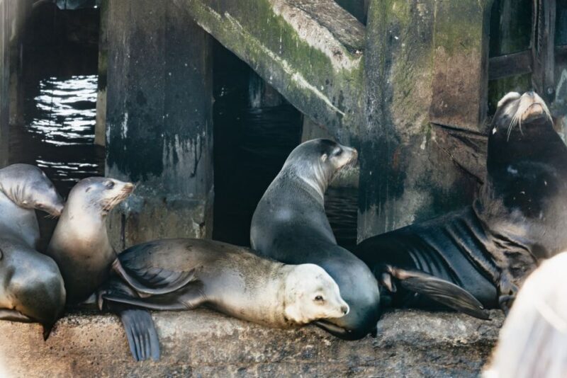 Monterey Bay: Whale Watching Tour - The Experience: Comfort and Organization