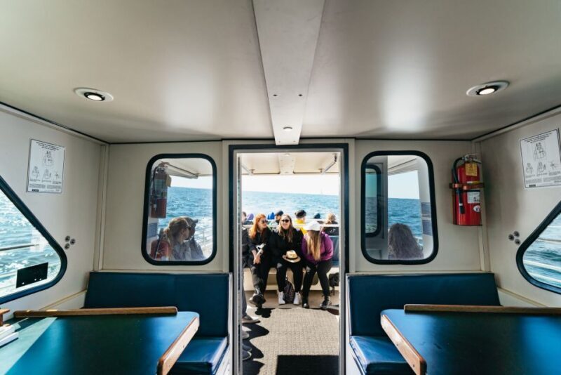 Monterey Bay: Whale Watching Tour - The Real-World Feedback
