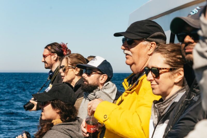 Monterey Bay: Whale Watching Tour - Who Should Book This Tour?