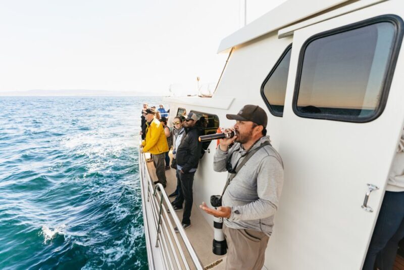 Monterey Bay: Whale Watching Tour - FAQ