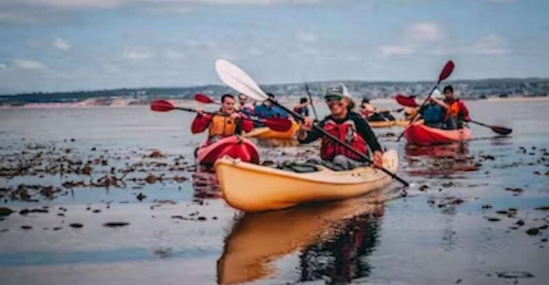 Monterey: Cannery Row Kayak Tour - Key Points