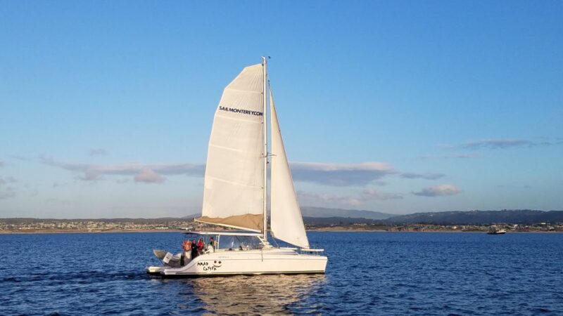 Monterey: Catamaran Sailing Cruise - An Authentic Coastal Experience with a Gentle Touch