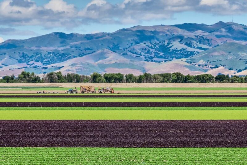Monterey County Salinas Valley Farm Tour - Logistics and Practical Details
