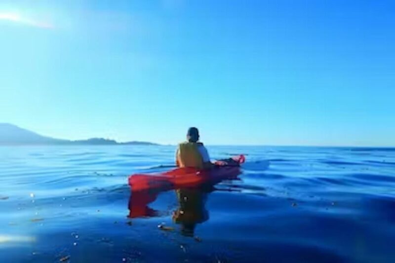 Monterey: Pebble Beach Kayak Tour - An Introduction to the Pebble Beach Kayak Tour