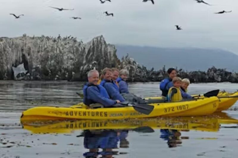 Monterey: Pebble Beach Kayak Tour - Authentic Experiences & Authenticity