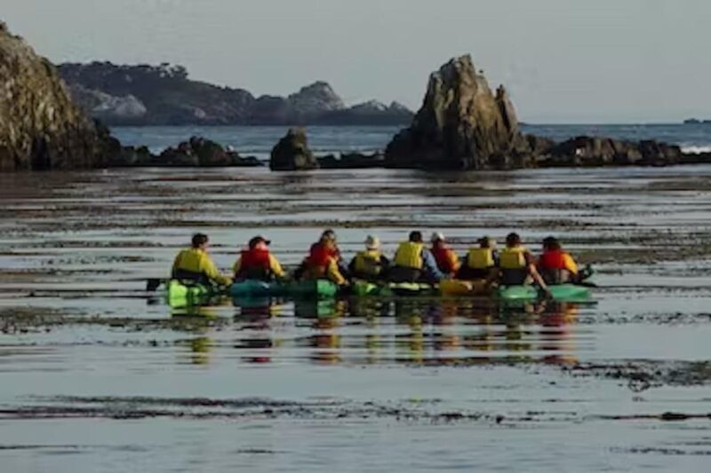 Monterey: Pebble Beach Kayak Tour - Who Will Love This Tour?