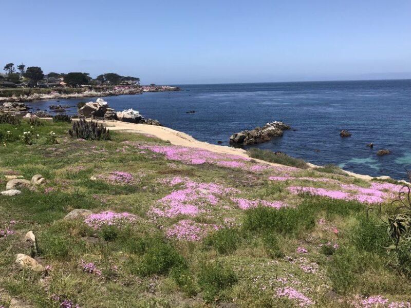Monterey Peninsula Sightseeing Tour including 17 Mile Drive - What to Expect from the Itinerary