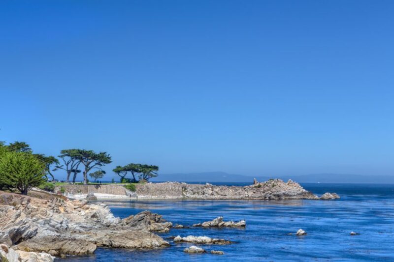 Monterey Peninsula Sightseeing Tour including 17 Mile Drive - A Few Considerations