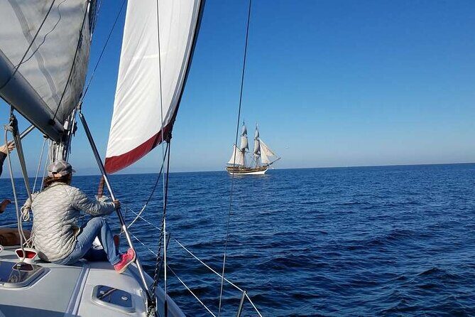 Monterey Private 3 - 4 Hour Whale Watching Cruise - FAQ