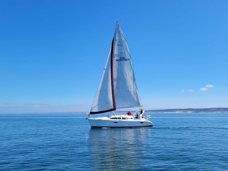 Monterey: Private Whale Watching/Sailing Tour for 6 - An In-Depth Look at the Private Whale Watching/Sailing Experience