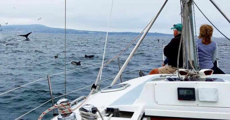 Monterey: Private Whale Watching/Sailing Tour for 6 - Who Will Benefit Most from This Tour?