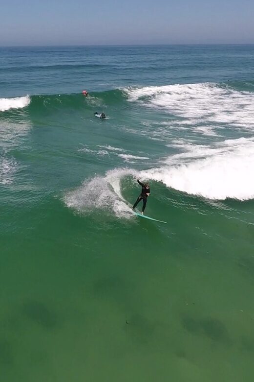 Monterey: Surfing Rental Package - The Scenic Plus: Marine Wildlife and Views
