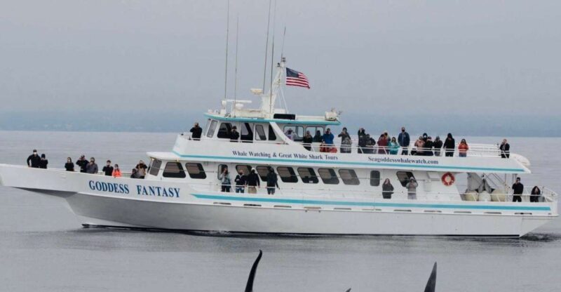 Monterey: Whale Watching Cruise - Introduction