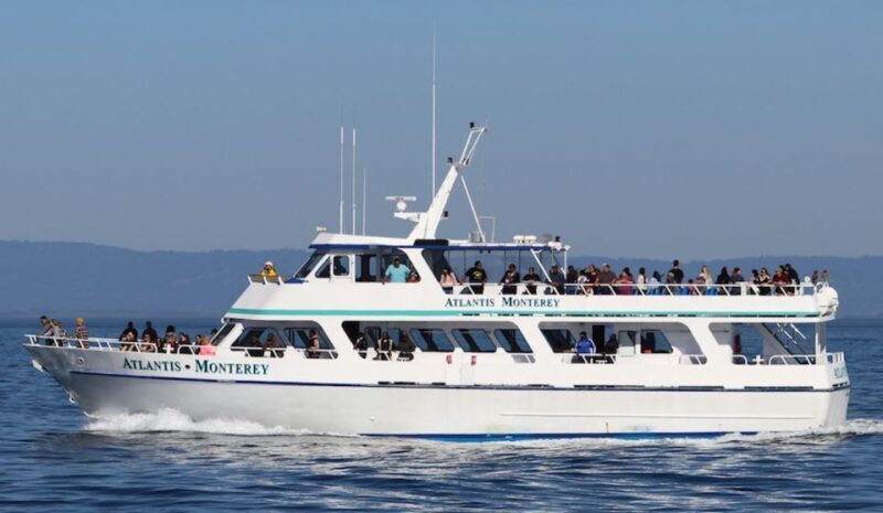 Monterey: Whale Watching Tour with A Marine Guide - The Sum Up: Is It Worth It?