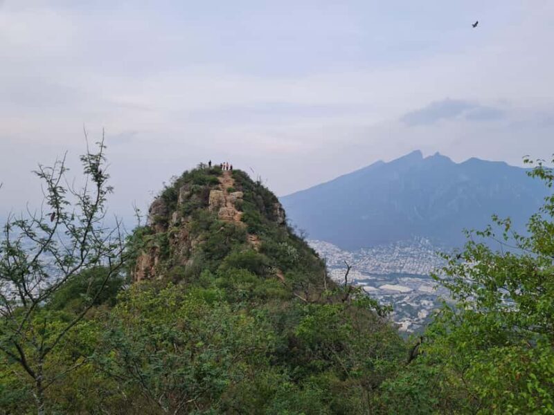 Monterrey: Pet-friendly hiking in Cerro del Chupón - An Insider Look at the Cerro del Chupón Hike