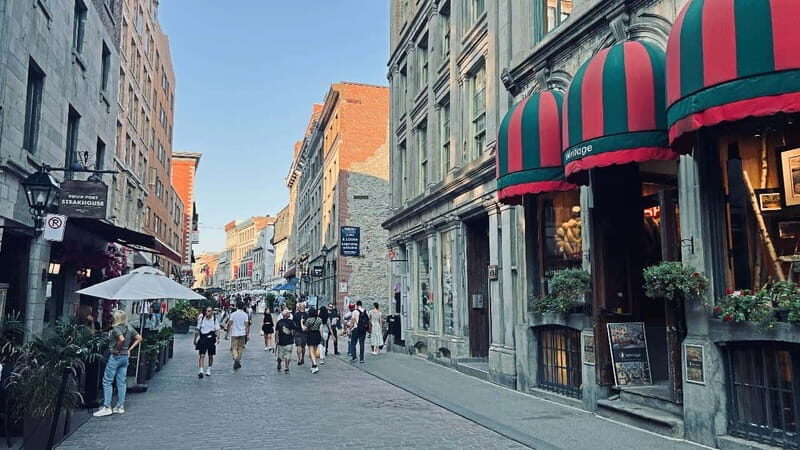 Montreal 3-Hour Private Car Tour with Expert Local Guide - Practical Considerations and Value