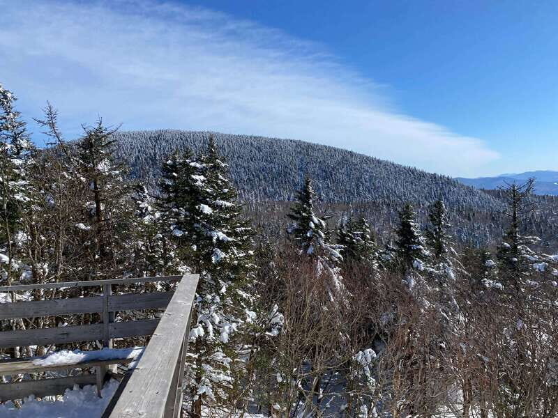 Montreal: Canadian Forest Guided Tour by Snowmobile - Authentic Encounters and Unique Moments