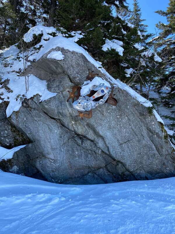 Montreal: Canadian Forest Guided Tour by Snowmobile - Who Will Find This Tour Most Enjoyable?