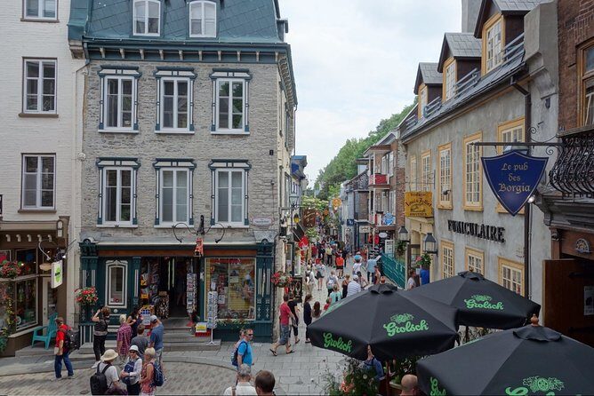 Montreal City Sightseeing Tour with Live Commentary - An In-Depth Look at the Montreal City Sightseeing Tour
