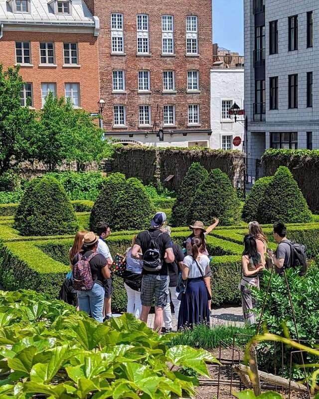 Montreal: Explore Old Montreal Small-Group Walking Tour - Authentic Experiences and Real Traveler Insights