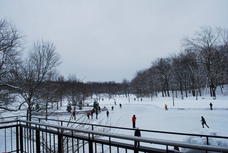 Montreal: Full-Day Small Group City Tour - Guides and Group Dynamics