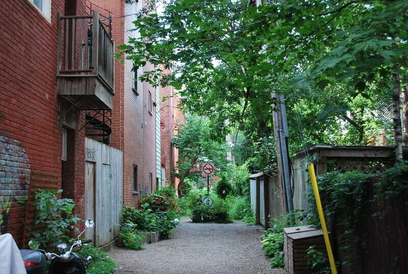 Montreal: Full-Day Small Group City Tour - Transportation and Comfort