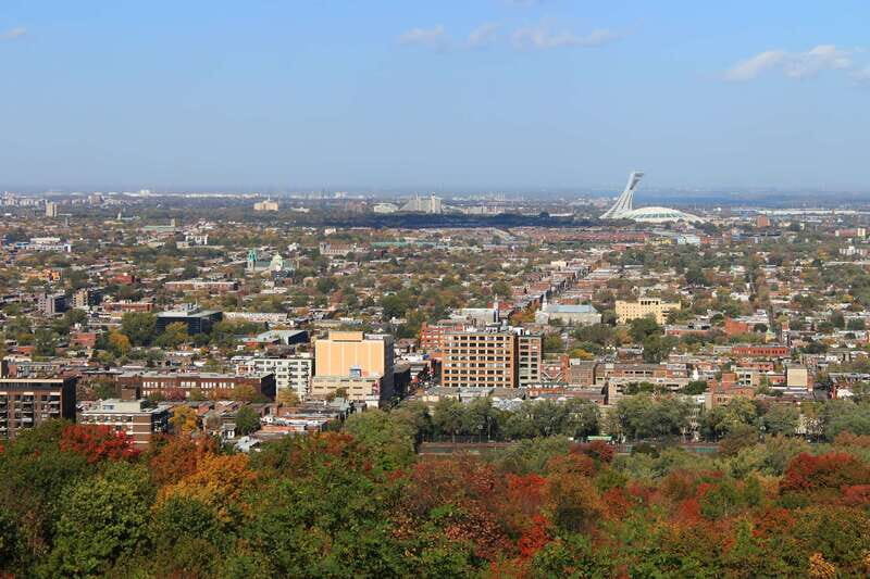 Montreal: Full-Day Small Group City Tour - Value for Money