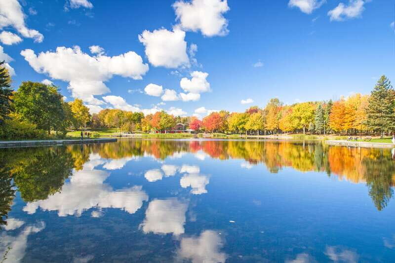 Montreal: Guided Bus Tour - Frequently Asked Questions (FAQ)