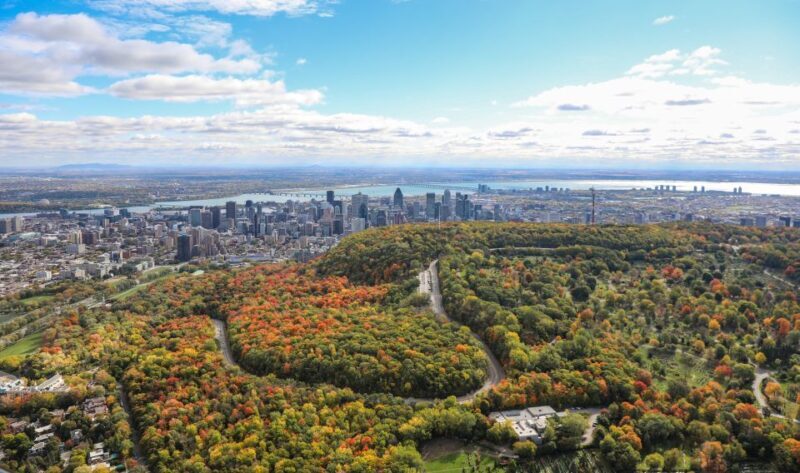 Montreal: Guided Helicopter Tour - Why This Tour Is a Great Choice for Montreal Visitors