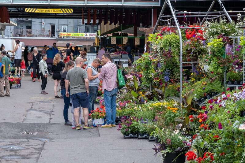 Montreal: Jean-Talon Market & Little Italy Highlights Tour - A Closer Look: What to Expect on the Tour
