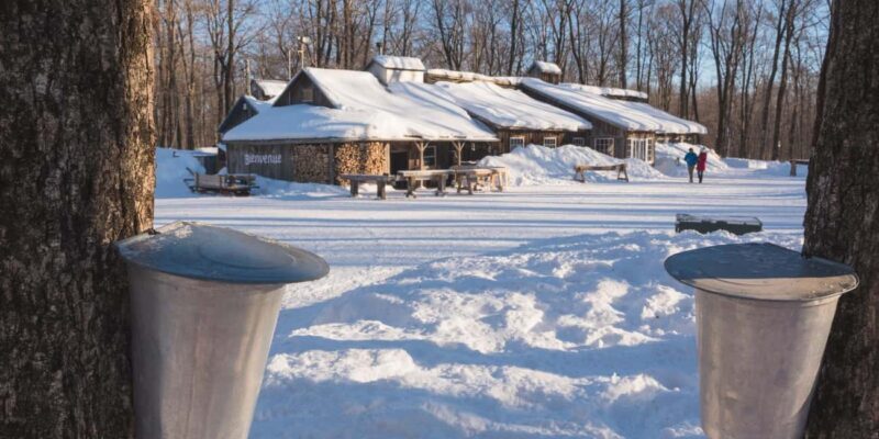 Montreal: Maple Syrup Tour with Sugar Shack & Local Cuisine - Key Points