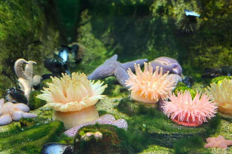 Montreal: Skip-the-line Biodome Private Tour with Tickets - Authentic Insights from Past Visitors