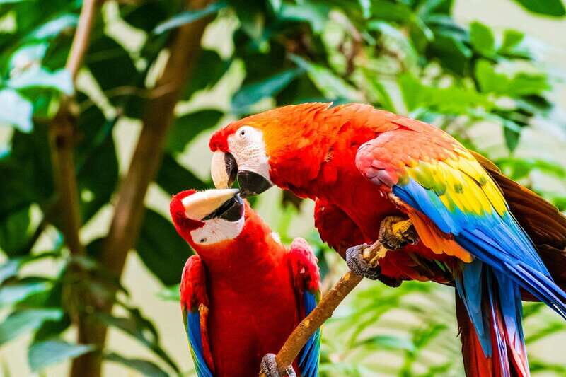 Montreal: Skip-the-line Biodome Private Tour with Tickets - Who Should Consider This Tour?