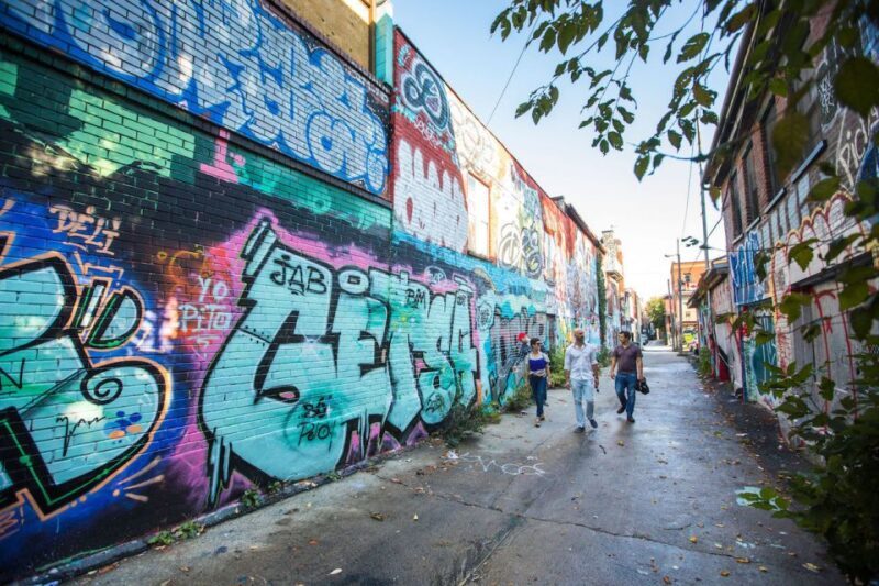 Montreal: Street Art & Mural 2-Hour Guided Walking Tour - The Experience of the Guide