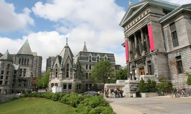 Montreal : Street Art Walking Tour With A Guide - Detailed Breakdown of the Tour