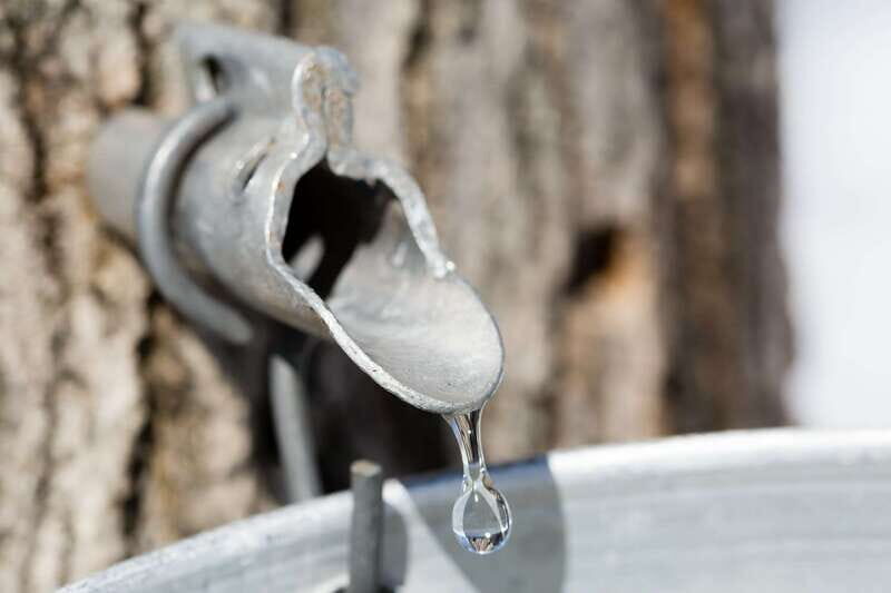 Montreal: Sugar Shack Maple Syrup Day Trip with Lunch - Authenticity and Cultural Insight