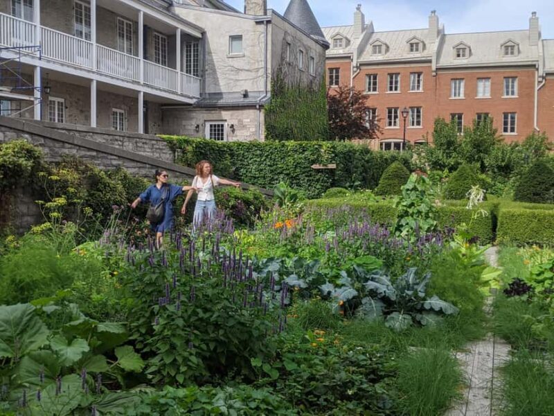 Montréal: The Original Old Montréal Walking Tour - What to Expect from the Tour