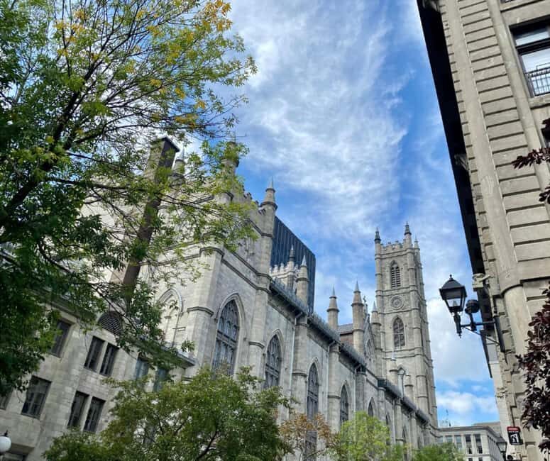 Montréal: The Original Old Montréal Walking Tour - Why This Tour Works for Travelers