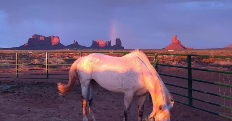 Monument Valley: Horseback Adventure Tour - The Heart of the Experience: What to Expect