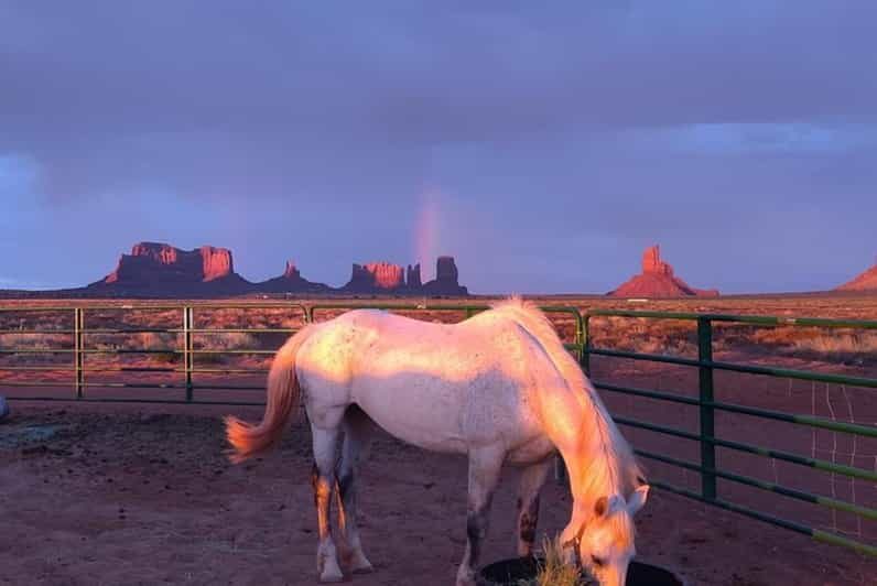 Monument Valley: Horseback Adventure Tour - Safety and Comfort