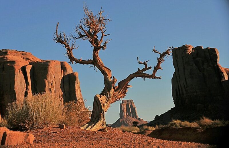Monument Valley: Scenic 1.5-Hour Tour - The Sum Up