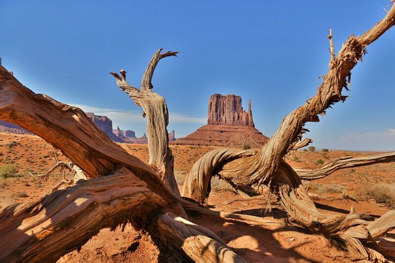Monument Valley: Scenic 2.5-Hour Guided Tour - What Travelers Say