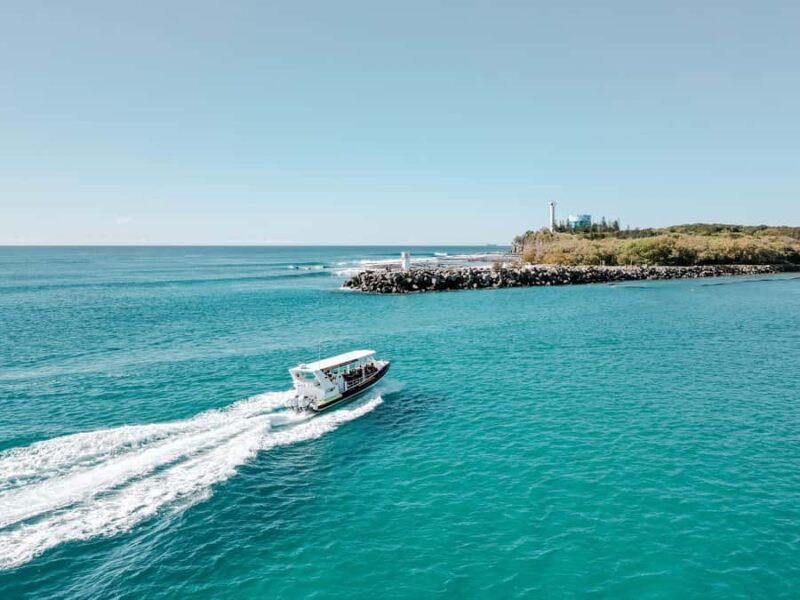 Mooloolaba: Adventure Rafting Turtle Tour - Frequently Asked Questions
