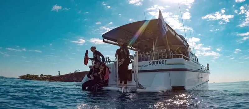 Mooloolaba: Snorkel with Turtles Mudjimba Island - Mooloolaba: Snorkel with Turtles Mudjimba Island — A Deep Dive into an Underwater Adventure